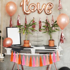 Pink Orange Peach Tissue Paper Tassels 15 Pcs Garland Banner Party Tassel Paper Tassels for Party Decorations Birthday Baby Bridal Shower