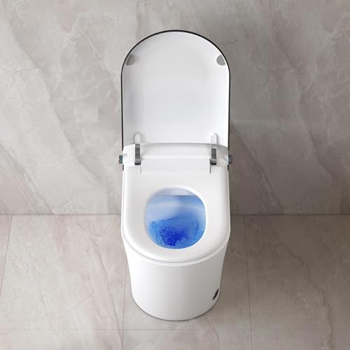 Smart Toilet with Bidet Built in, Eridanus One Piece Bidet Toilet for Bathrooms, Warm Water Wash & Dryer, Foot Sensor Flush, Elongated Heated Seat, Auto Open/Close with Digital Display, White & Black