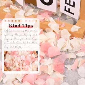 VAIPI 2000 Pieces Hydrangea Flower Petals 1.41 oz Pink White Real Nature Dried Flower Petal for Weddings, Party Flower Confetti, Valentine's Day, Flower Girl Baskets, Romantic Night, Proposal Decor