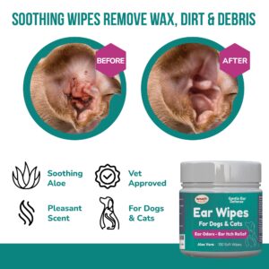 Benefit Pet Products Dog Ear Wipes - Ear Cleaner for Dogs to Prevent Infections, Itching & Odor - Aloe & Eucalyptus, Grooming Wipes - 100 Count