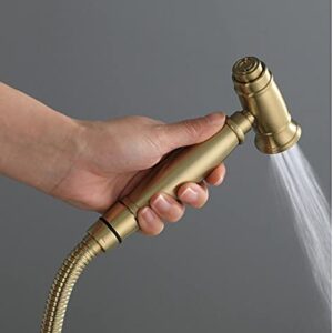 MINJING Handheld Toilet Bidet Sprayer Faucet, Brushed Gold Dual Handle Double Hole Shower Mixer Faucet