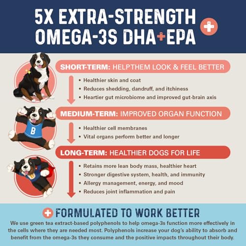 Bernie’s OMG!!! Omegas 5X Extra Strength Omega-3s DHA+EPA, Chews with Fish Oil for Dogs, Ultimate Skin & Coat, Works as Dog Allergy Chews, Dog Calming Chews, Joint Supplement. (Salmon)