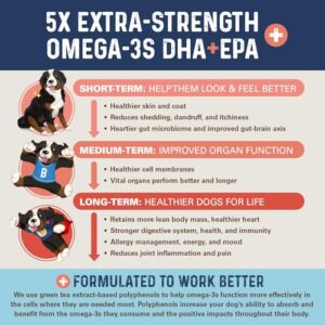 Bernie's OMG!!! Omegas 5X Extra Strength Omega-3s DHA+EPA, Chews with Fish Oil for Dogs, Ultimate Skin & Coat, Works as Dog Allergy Chews, Dog Calming Chews, Joint Supplement. (Pork)