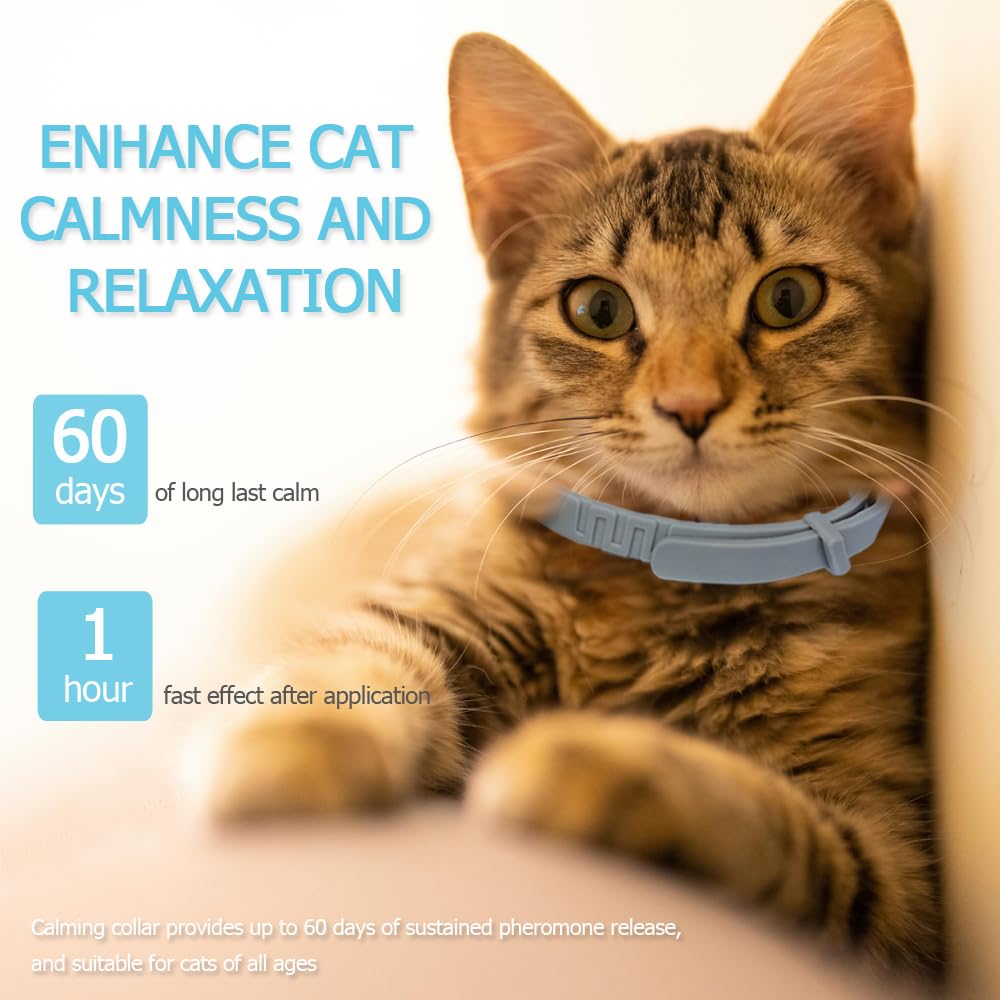 Cat Calming Collar for Cats Pheromones Anxiety Relief Calming Collar Cat Relaxer 4Pack, 60 Days of Calming Each Collar, Adjustable Size for All Cats for Travel (Grey)