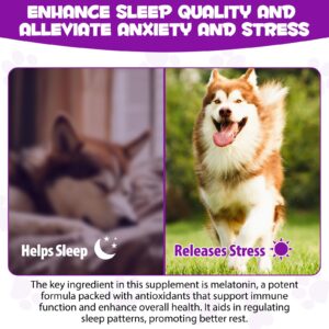 Dog Melatonin - Melatonin for Dogs - Dog Melatonin for Small Dogs - Cat Melatonin - Anxiety & Stress Relief - Promote Relaxation & Deep Sleep for Cat & Dog