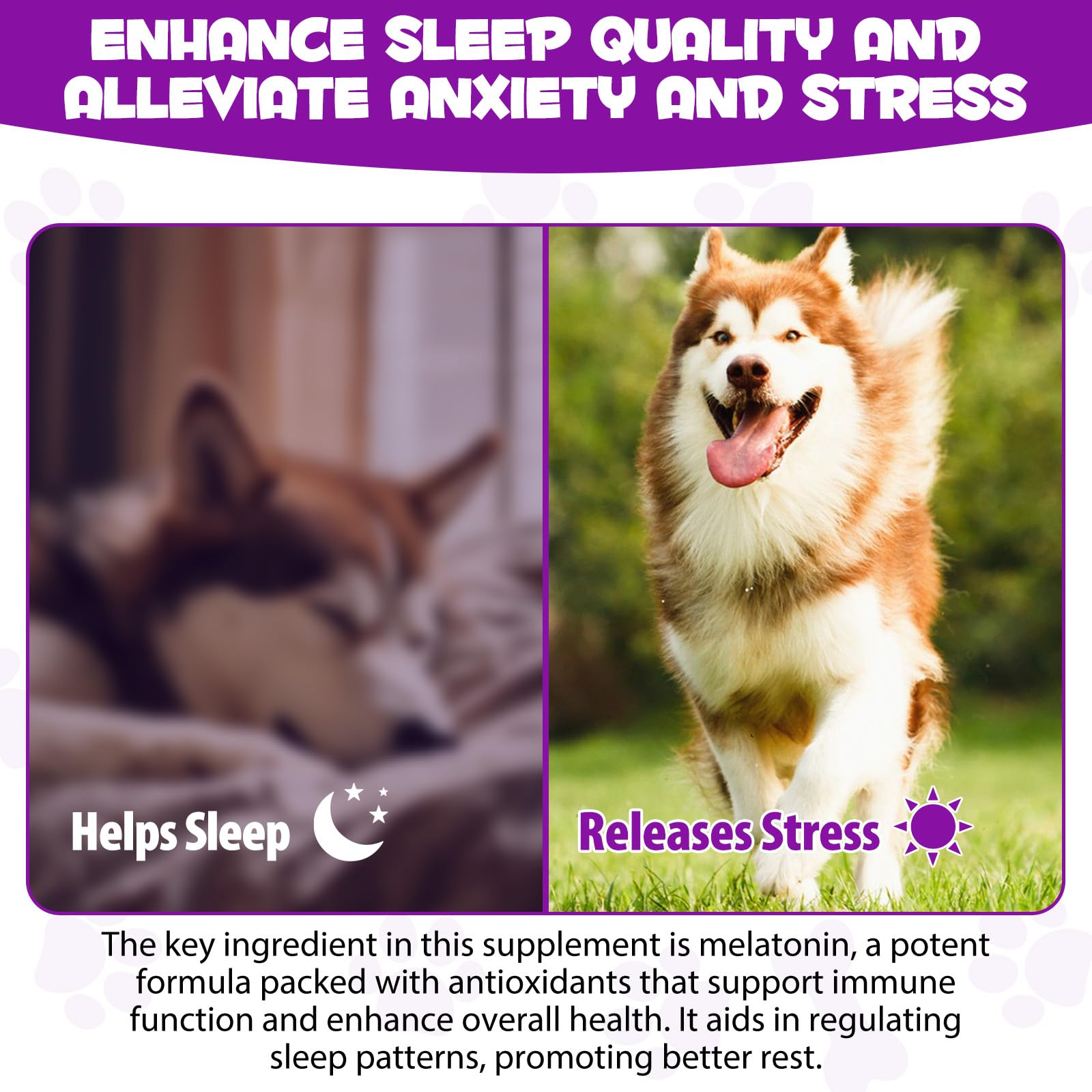 Dog Melatonin - Melatonin for Dogs - Dog Melatonin for Small Dogs - Cat Melatonin - Anxiety & Stress Relief - Promote Relaxation & Deep Sleep for Cat & Dog