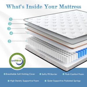 Wellynap Twin Mattress,10 Inch Twin Size Mattress,Hybrid Mattress Twin in a Box,Individually Pocketed Innerspring,Fiberglass-Free Mattress,Medium Firm120 Nights Risk-Free Trial