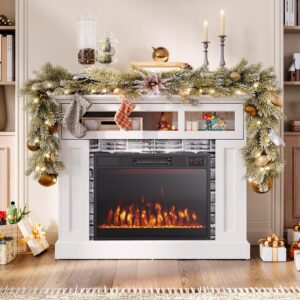 COSTWAY 23 Inches Electric Fireplace Insert, 750W/1500W Fireplace Heater with Remote Control, Adjustable Flame Color & Brightness, 1H-8H Timer, Thermostat and Overheat Protection