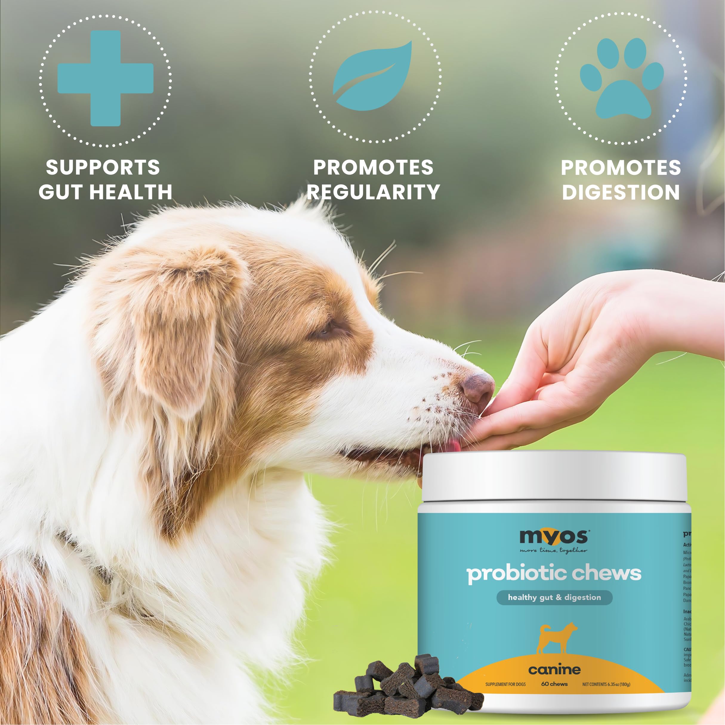 MYOS Probiotic Chew for Dogs - Daily Digestive Support, Promotes Complete Gut Health, Aids Digestion, Enhances Nutrient Absorption, Supports Healthy Stool - All-in-One Chewable Supplement