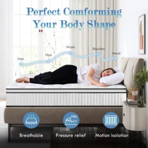 Wellynap King Mattress,10 Inch King Size Mattress,Hybrid Mattress King in a Box,Individually Pocketed Innerspring,Fiberglass-Free Mattress,Medium Firm120 Nights Risk-Free Trial