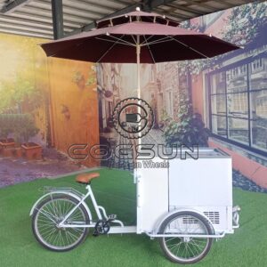 Ice Cream Cart Bicycle with Commercial Refrigerator Ice Cream Cart With Three Wheels for Business Food Vending Cart for Sale with Trailer Awning