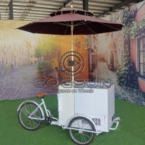 Ice Cream Cart Bicycle with Commercial Refrigerator Ice Cream Cart With Three Wheels for Business Food Vending Cart for Sale with Trailer Awning