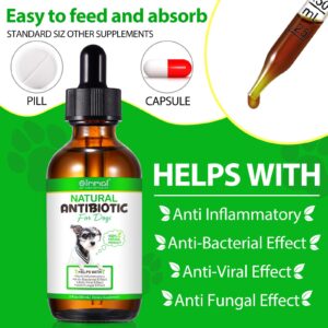 Antibiotics for Dogs, Natural Antibiotics for Dogs, Dog Antibiotics, Dog Multivitamin for Pets, Dog Supplies Antibiotics, Natural Dog Antibiotics Supports Dog Allergy and Itch Relief - 60ML