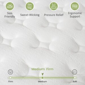 Twin Mattress 10 Inch - Superior Plush Mattress Twin Size, Memory Foam Hybrid Bed Mattress, Individual Pocket Spring Mattress In a Box for Motion Isolation, Deep Sleep, 100 Nights Trial, CertiPUR-US