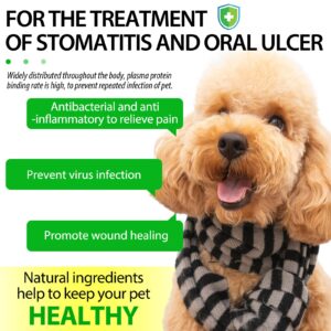 Antibiotics for Dogs, Natural Antibiotics for Dogs, Dog Antibiotics, Dog Multivitamin for Pets, Dog Supplies Antibiotics, Natural Dog Antibiotics Supports Dog Allergy and Itch Relief - 60ML