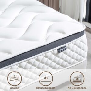 Deegari King Mattress,14 Inch King Size Mattress in a Box,Gel Memory Foam and Innerspring Hybrid Mattress with Individual Pocket Spring for Motion Isolation,Pressure Relief,Medium Firm Feel