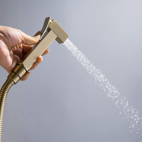 MINJING Bidet Sprayer Brushed Gold, Handheld Cloth Diaper Sprayer, Brass Bidet Faucet Warm Water, Bidet Attachments for Toilet Washing, Feminine Hygiene