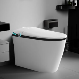 winzo luxury smart toilet, 1.28 intelligent bidet toilet with auto flush, heated seat with warm water and dryer, modern tankless design with remote control, night light, white