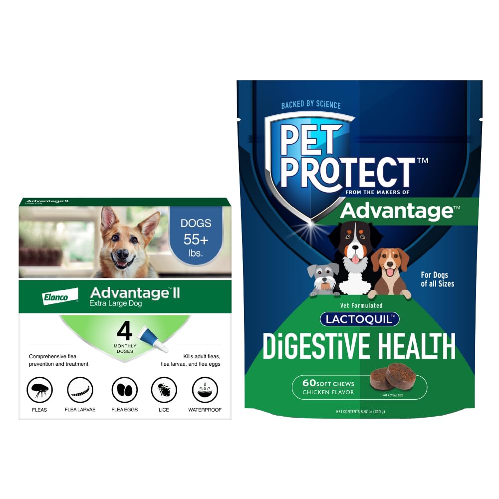 Bundle of Advantage II XL Dog| Dogs Over 55 lbs. | 4-Month Supply + Pet Protect from Dog Digestive Health Supplement | 60 Chews