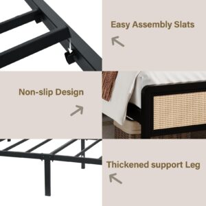 CHABUILDREARK Queen Rattan Bed Frame, Metal Platform Bed with Headboard, Bed Frame Queen Size with Steel Slats Support, No Box Spring Required, Easy Assembly