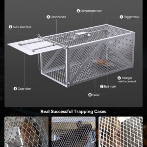 BAOYER Humane Mouse Traps Reusable Catch and Release Live Mouse，Metal Rat Trap That Work，Catch Moles, Voles, Chipmunks