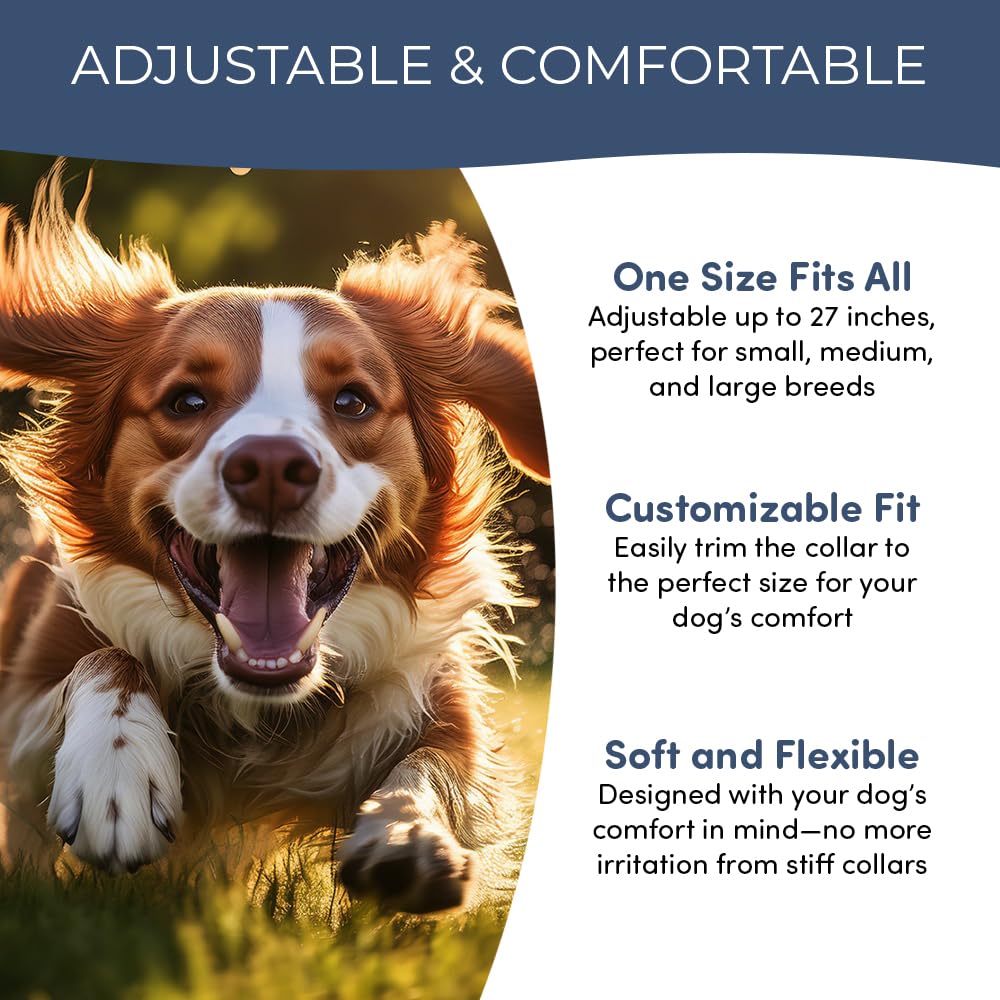 Flea and Tick Collar for Dogs and Cats- Long-Lasting 8-Month Protection Using Natural Plant-Based Oils - Safe for Pets, People and The Environment - 2-Pack Flea Collar for Dogs and Cats