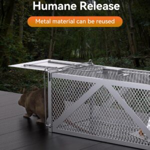 BAOYER Humane Mouse Traps Reusable Catch and Release Live Mouse，Metal Rat Trap That Work，Catch Moles, Voles, Chipmunks