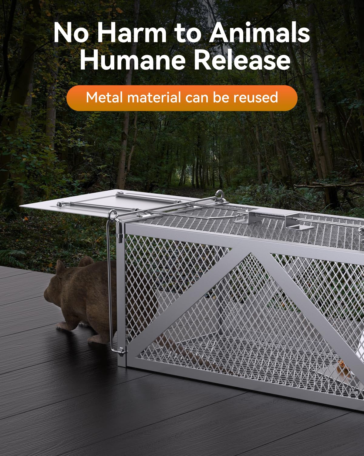 BAOYER Humane Mouse Traps Reusable Catch and Release Live Mouse，Metal Rat Trap That Work，Catch Moles, Voles, Chipmunks