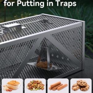 BAOYER Humane Mouse Traps Reusable Catch and Release Live Mouse，Metal Rat Trap That Work，Catch Moles, Voles, Chipmunks