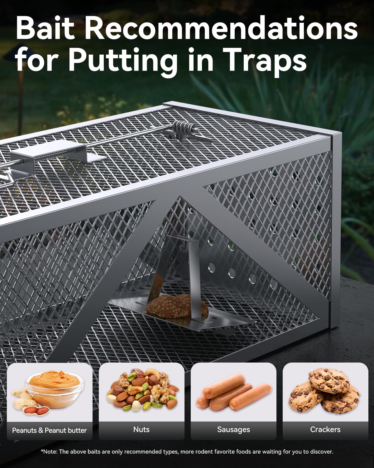 BAOYER Humane Mouse Traps Reusable Catch and Release Live Mouse，Metal Rat Trap That Work，Catch Moles, Voles, Chipmunks