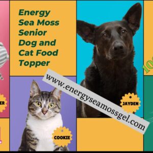 Energy Sea Moss Senior Dogs & Cats Food Topper Powder - Nutrient-Rich, Supports Joint Health, Boosts Energy, Improves Coat - 1 Packet/Day, Box of 12