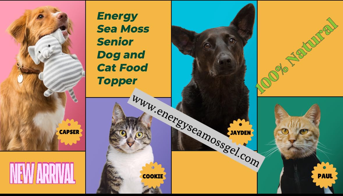 Energy Sea Moss Senior Dogs & Cats Food Topper Powder - Nutrient-Rich, Supports Joint Health, Boosts Energy, Improves Coat - 1 Packet/Day, Box of 12