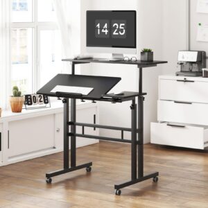 sogesfurniture Standing Desk,Laptop Workstation on Wheels, Adjustable Computer Desk for Standing or Sitting, Black