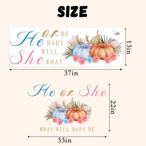 ZAIBIANHAO HE or SHE What Will Baby Be Gender Reveal Party Decal - Halloween Pumpkin Themed Shower Party Wall Decal Sign,Thanksgiving Stickers Decoration for Balloon Arch (Pumpkin He or She Decal)