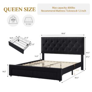 GarveeHome Upholstered Queen Bed Frame with 2 Storage Drawers, Velvet Platform Bed Frame with Button Tufted Rivets Headboard, Heavy Duty, No Box Spring Needed, Easy Assembly, Black