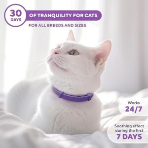 4 Pack Calming Collar for Cats, Cat Calming Collar, Cat Pheromone Collar for Anxiety & Stress Relief, Adjustable Calming Cat Collar, Helps with Pee, Behavior Issues, Relaxing & Comfortable (Purple)