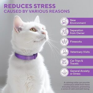 4 Pack Calming Collar for Cats, Cat Calming Collar, Cat Pheromone Collar for Anxiety & Stress Relief, Adjustable Calming Cat Collar, Helps with Pee, Behavior Issues, Relaxing & Comfortable (Purple)