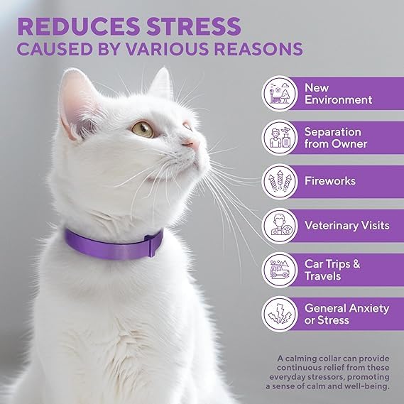 4 Pack Calming Collar for Cats, Cat Calming Collar, Cat Pheromone Collar for Anxiety & Stress Relief, Adjustable Calming Cat Collar, Helps with Pee, Behavior Issues, Relaxing & Comfortable (Purple)