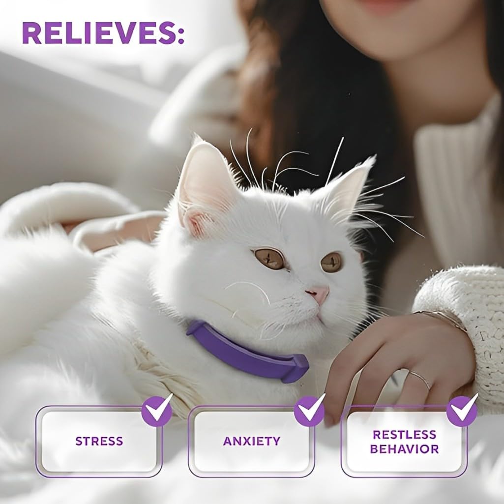 4 Pack Calming Collar for Cats, Cat Calming Collar, Cat Pheromone Collar for Anxiety & Stress Relief, Adjustable Calming Cat Collar, Helps with Pee, Behavior Issues, Relaxing & Comfortable (Purple)