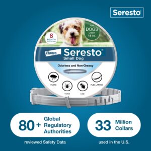 Bundle of Seresto Small Dog Collar for Dogs Under 18 lbs. + Pet Protect Dog Digestive Health Supplement 60 Chews