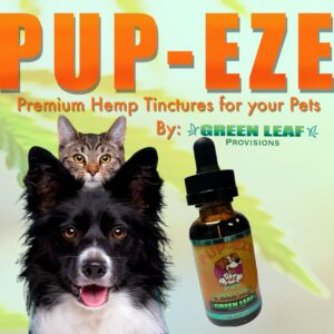 PUP-EZE Hemp Oil Pet Tincture, for Dogs and Cats, (2 Pack) Can Help with Anixeity, Stress,Pain, Arthritis,Stress Management and Joint Pain. Proudly Made in The USA 1000mg Hemp, (2) 1 oz 30 ml Bottles