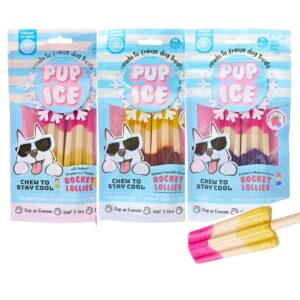 spot pup ice ready to freeze at home dog treats-edible chews for medium breed dogs & puppies with real chicken | 3 pack bundle edible dog treats (strawberry, chocolate & banana) 6 psc