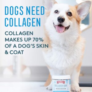 The Missing Link Collagen Care Dog Supplement Soft Chews for Skin & Coat, 60-Count, 2-Pack