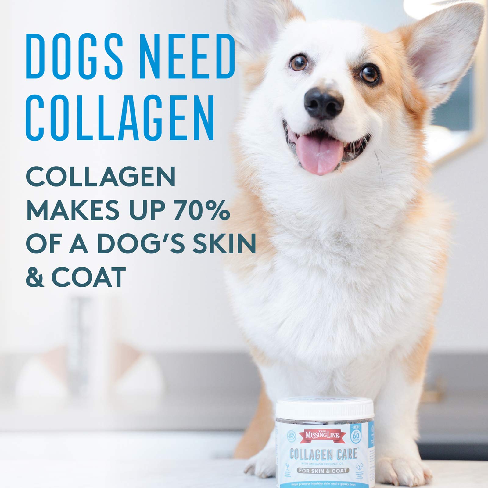 The Missing Link Collagen Care Dog Supplement Soft Chews for Skin & Coat, 60-Count, 2-Pack