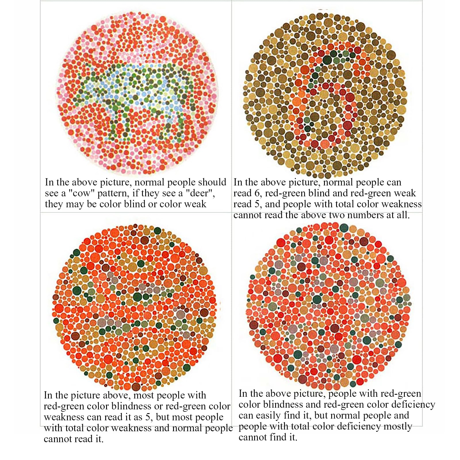 STMKB 50 PCs Color Blindness and Color Weakness Test Charts, Used for Exams, Driver's Licenses, Physical Examinations, Color Discrimination Tests, Etc. (English Version)