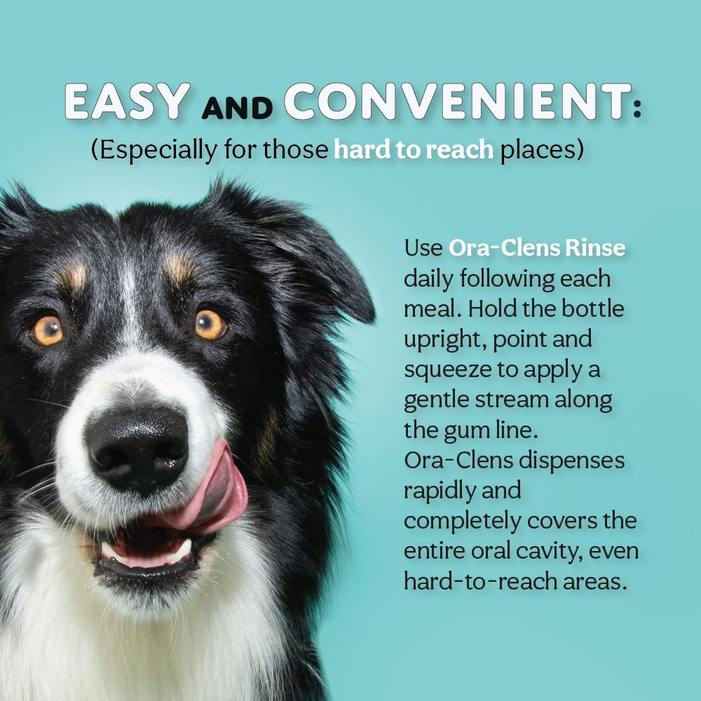 Ora-Clens Dog & Cat Oral Hygiene Rinse Effectively Reduces Plaque, freshens Breath, and eliminates Bad Breath and Dental Plaque at The Source (8 fl oz)