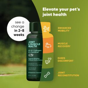 Rooted Owl Natural Supplements Joint & Muscle Health Capsules - Hip and Joint Supplements for Cats and Small Dogs with UC-II Type II Collagen and L-Carnitine - 30/ct