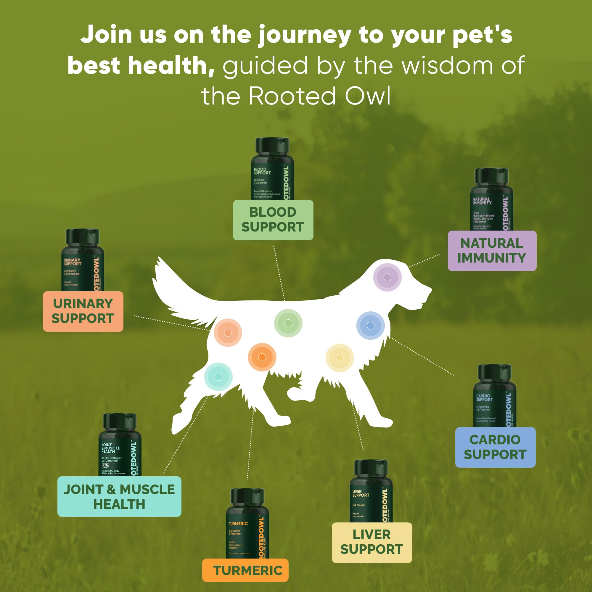 Rooted Owl Natural Supplements Joint & Muscle Health Capsules - Hip and Joint Supplements for Cats and Small Dogs with UC-II Type II Collagen and L-Carnitine - 30/ct