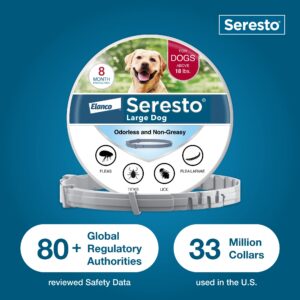 Bundle of Seresto Large Dog Collar for Dogs Over 18 lbs. + Pet Protect Probiotic Dog Supplement Oral Gel 32g