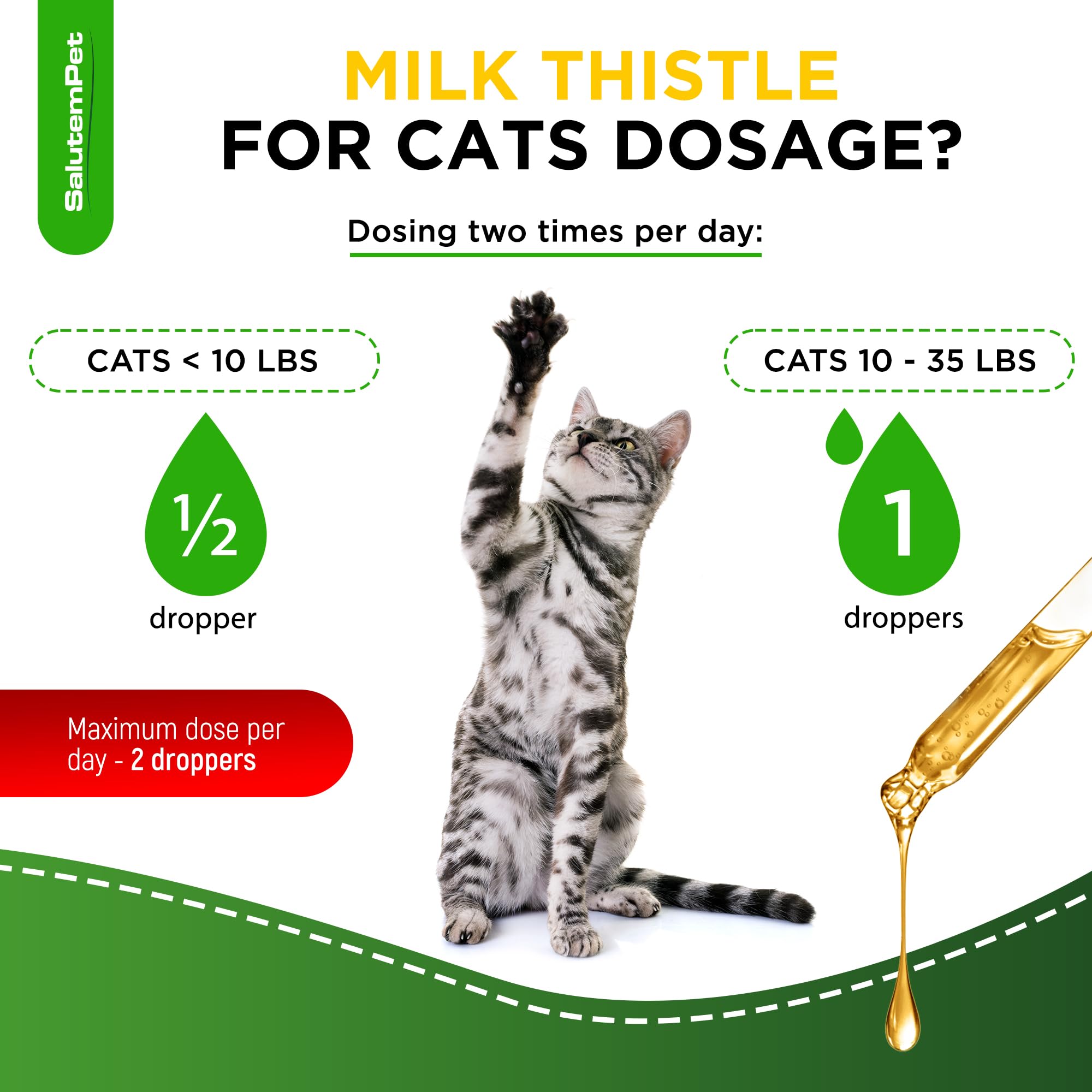 Сat Kidney Support | Milk Thistle for Cats | Kidney Support for Cats | Milk Thistle Cats | Cat Milk Thistle | Herbal Dietary Supplement | 2 Oz